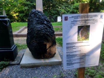 Grave of Aleksandr Afanasyev 2