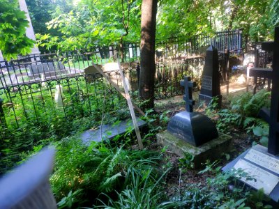 Grave of Sergey Ivanovich Ognev 3