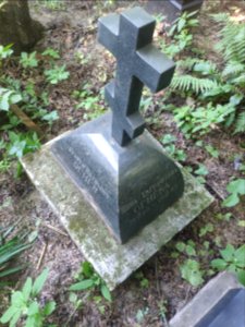 Grave of Sergey Ivanovich Ognev 2