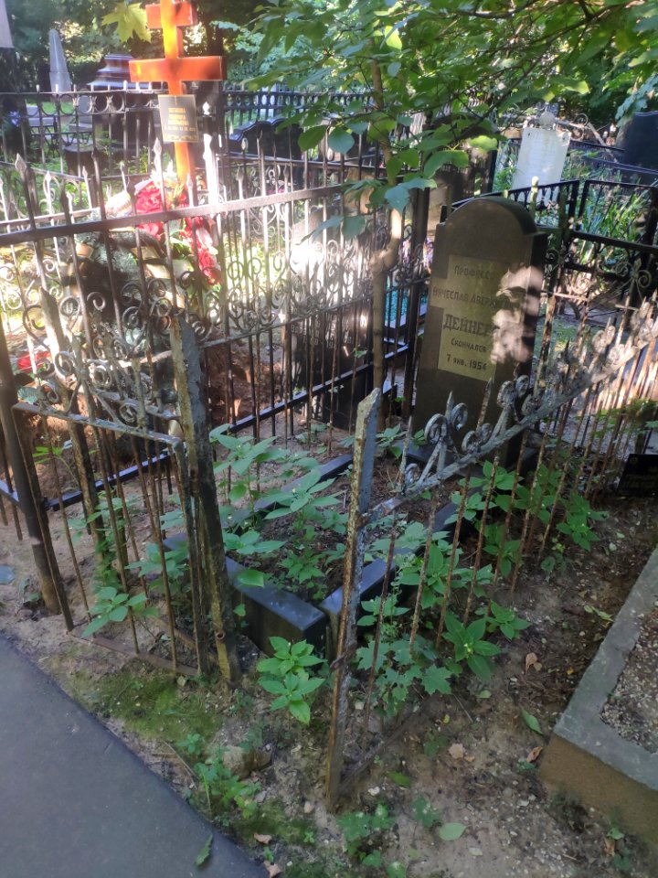 Grave of Vyacheslav Deynega 1