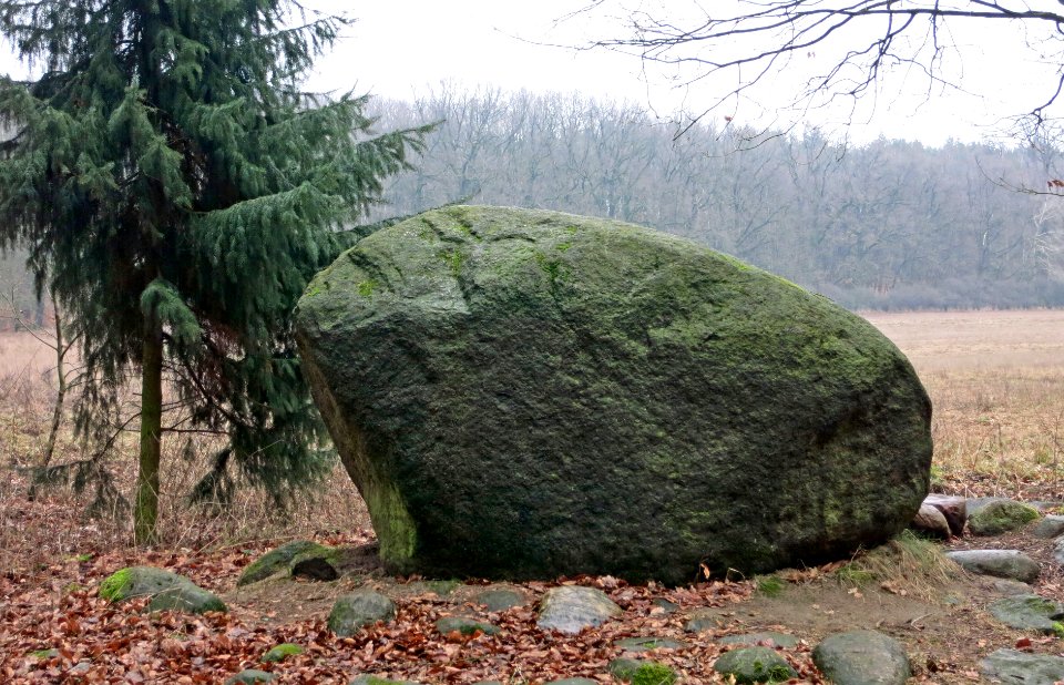 GrosserSteinFrankfurtOderStadtwald1