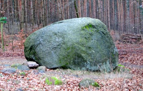 GrosserSteinFrankfurtOderStadtwald2 photo