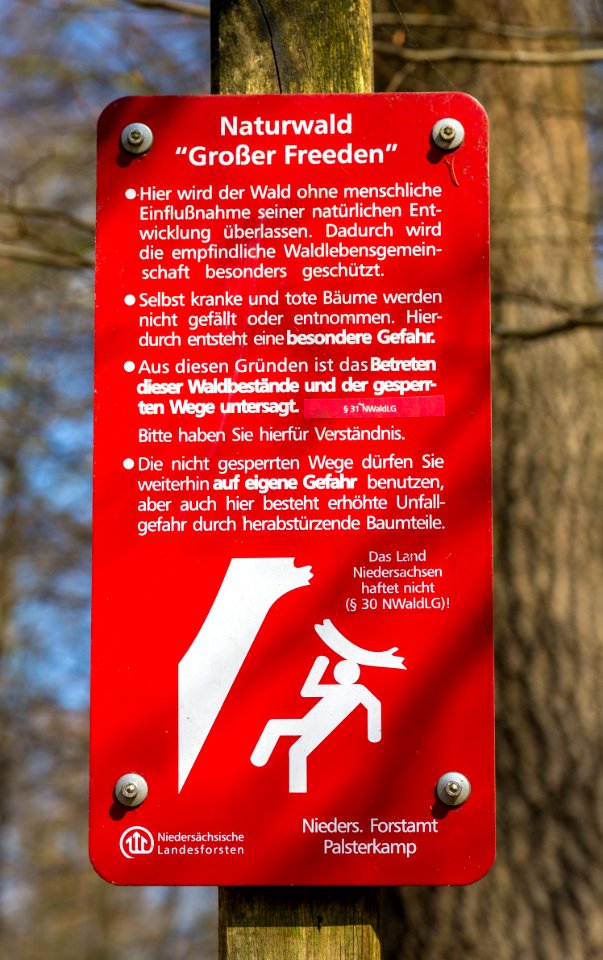 Grosser Freeden 011
