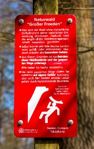 Grosser Freeden 011