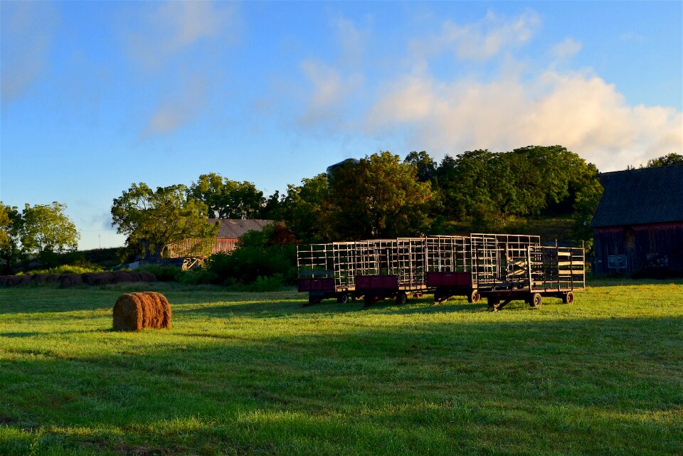 Farm landscape field