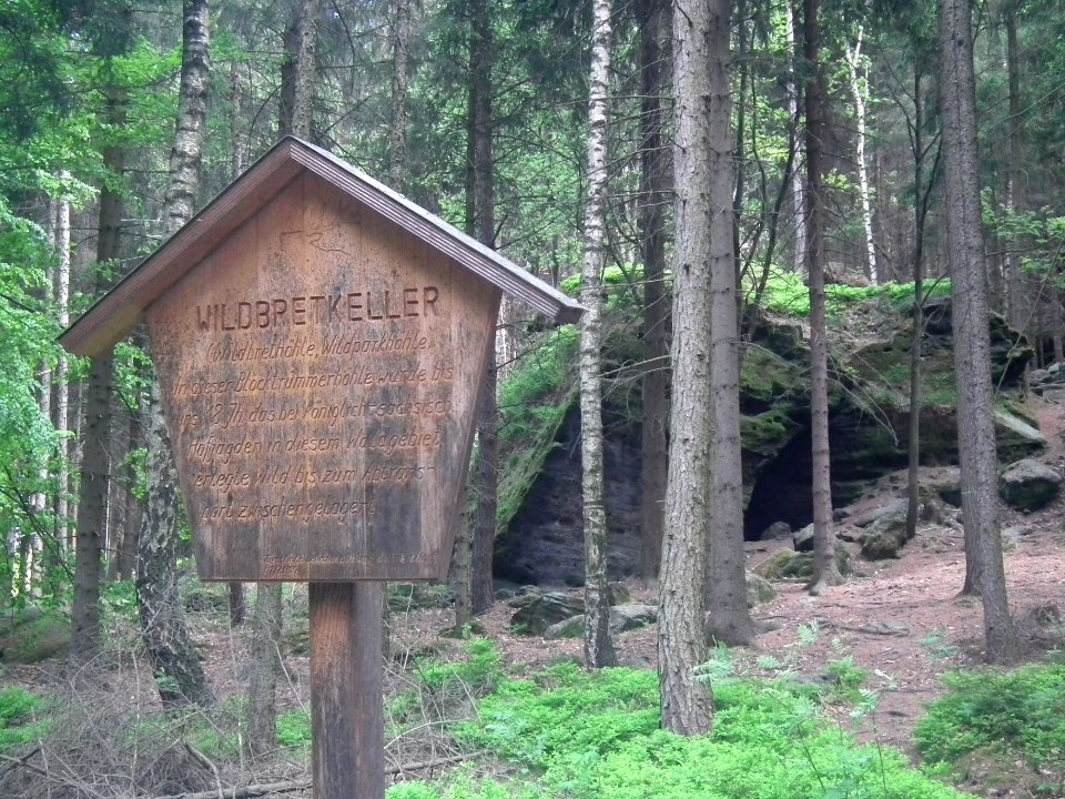 Großer Zschirnstein 2015-05-14 15