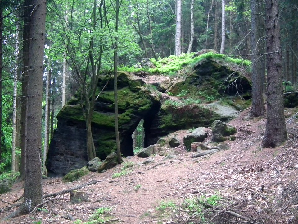 Großer Zschirnstein 2015-05-14 12