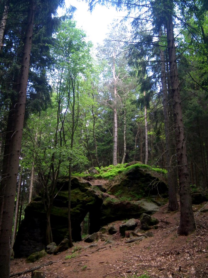 Großer Zschirnstein 2015-05-14 13