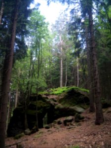 Großer Zschirnstein 2015-05-14 13