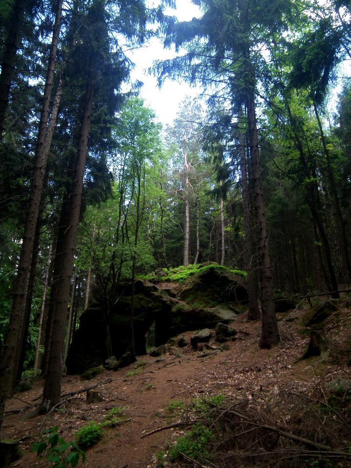 Großer Zschirnstein 2015-05-14 11
