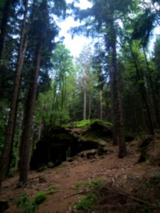 Großer Zschirnstein 2015-05-14 11