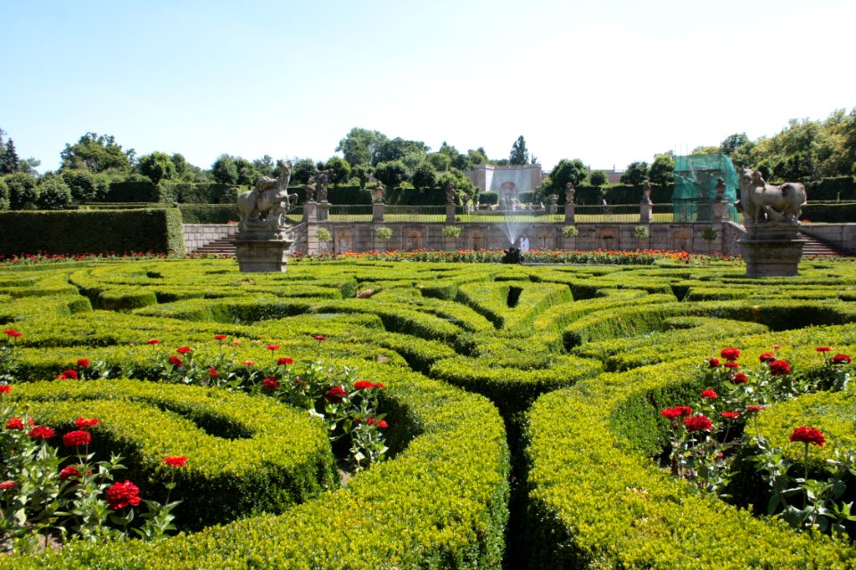Hedge box trimmed