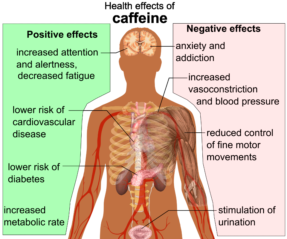 Health effects of caffeine