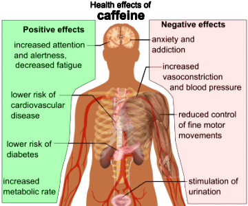 Health effects of caffeine photo