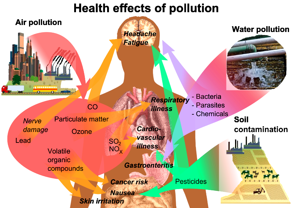 Health effects of pollution
