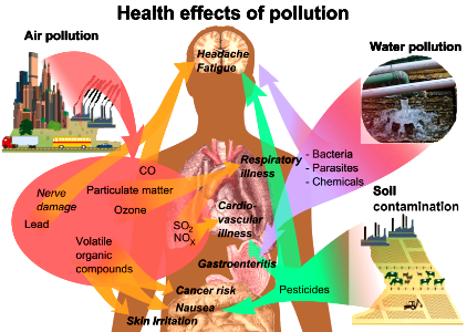 Health effects of pollution photo