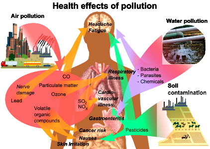 Health effects of pollution