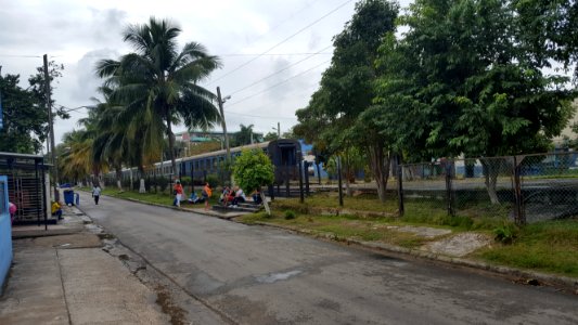 Havana Tulipan train
