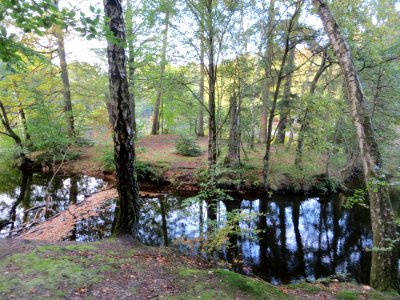 Hillerød-Tyrkerøen
