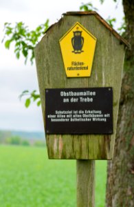 Herrnhut Obstbaumallee an der Trebe 02