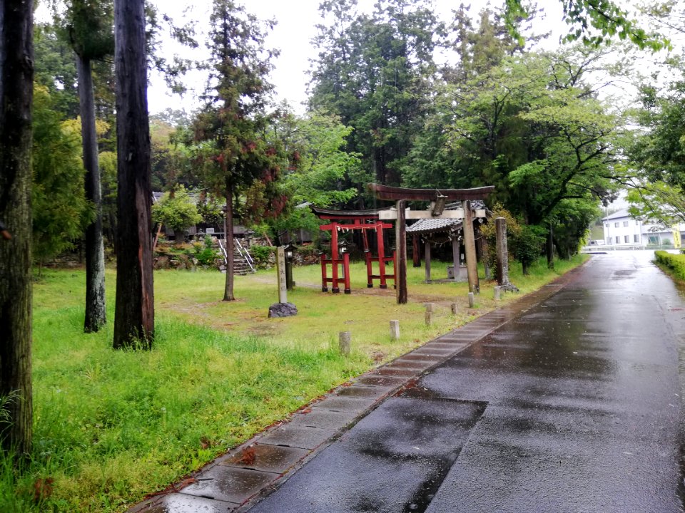 Hakusan Shrine (Naka Kitaborachō) 20210417 01