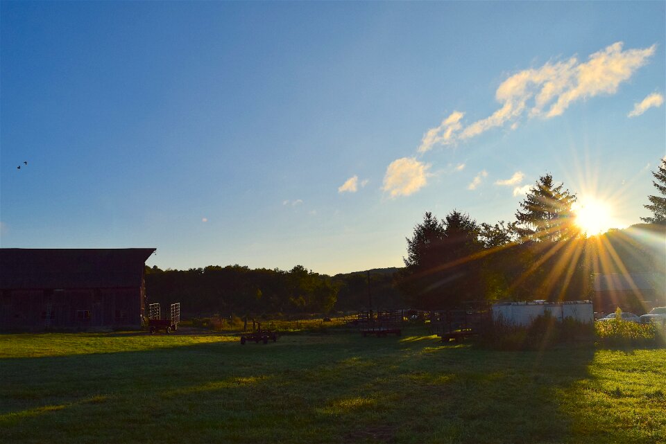 Sunlight grass farm