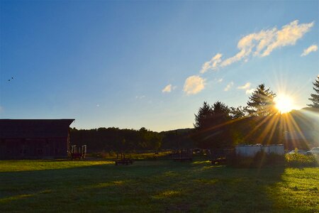 Sunlight grass farm photo