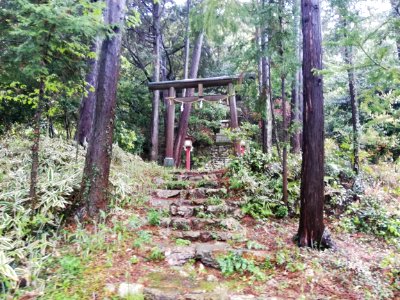 Hakusan Shrine (Naka Kitaborachō) 20210417 09