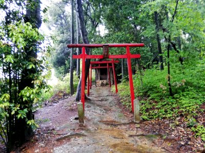 Hachiman Shrine (Kakami Yamanomaechō) 20210417 05