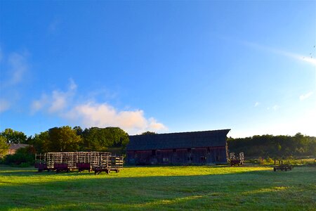 Sunlight grass farm photo