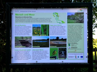 Halverder Moor 01