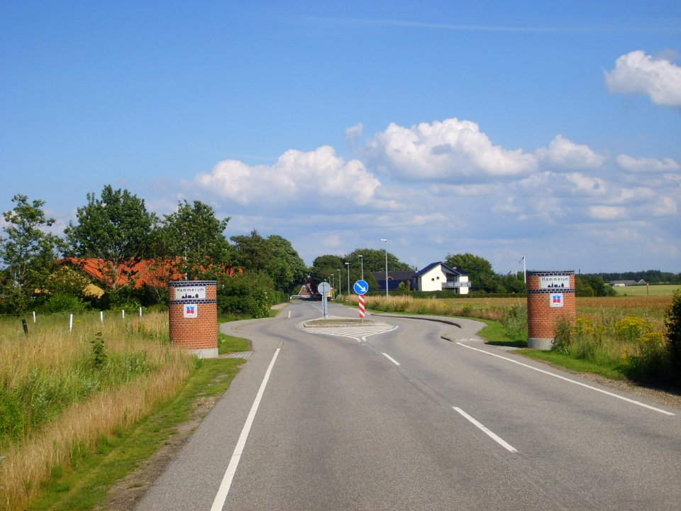 Hammerum panorama