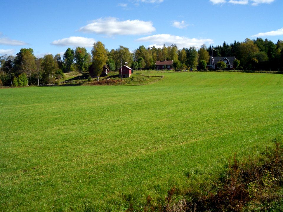Nr Stavas Stenbrohult