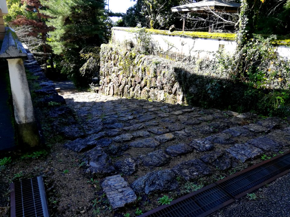 Ogurayama Castle 20201011 05
