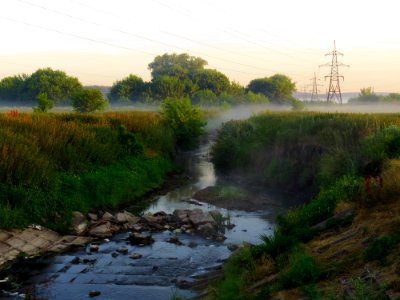 Nyvka fog1