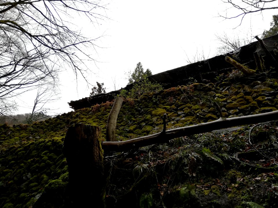 Nyūdani Village 20210305 03