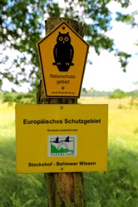 NSG Stockshof Behlower Wiesen 01