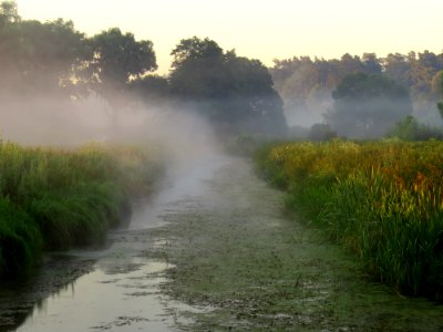 Nyvka fog3