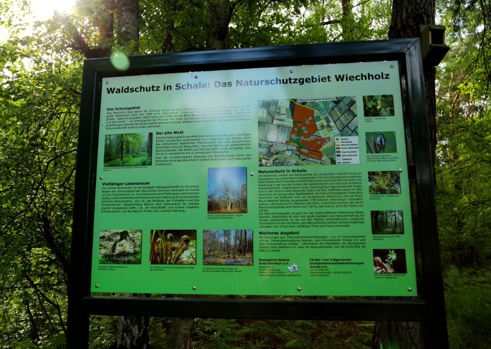 NSG Wiechholz Informationstafel 02