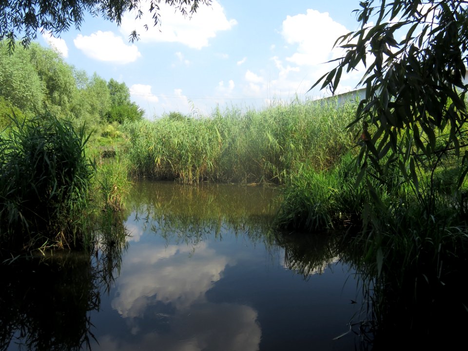 Nyvka river2