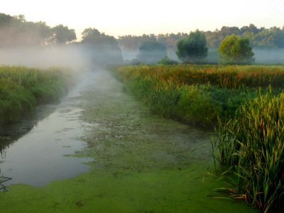 Nyvka fog2