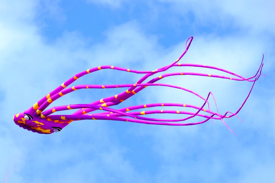 Octopoda Kite Flying over Railway Sculpture Park, Kaohsiung 20151129