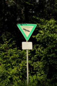 Obersteinbeck Naturschutzgebiet Am Kaelberberg 02
