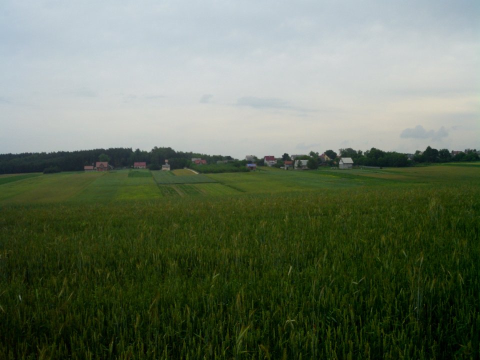 Gorki Pinczow County