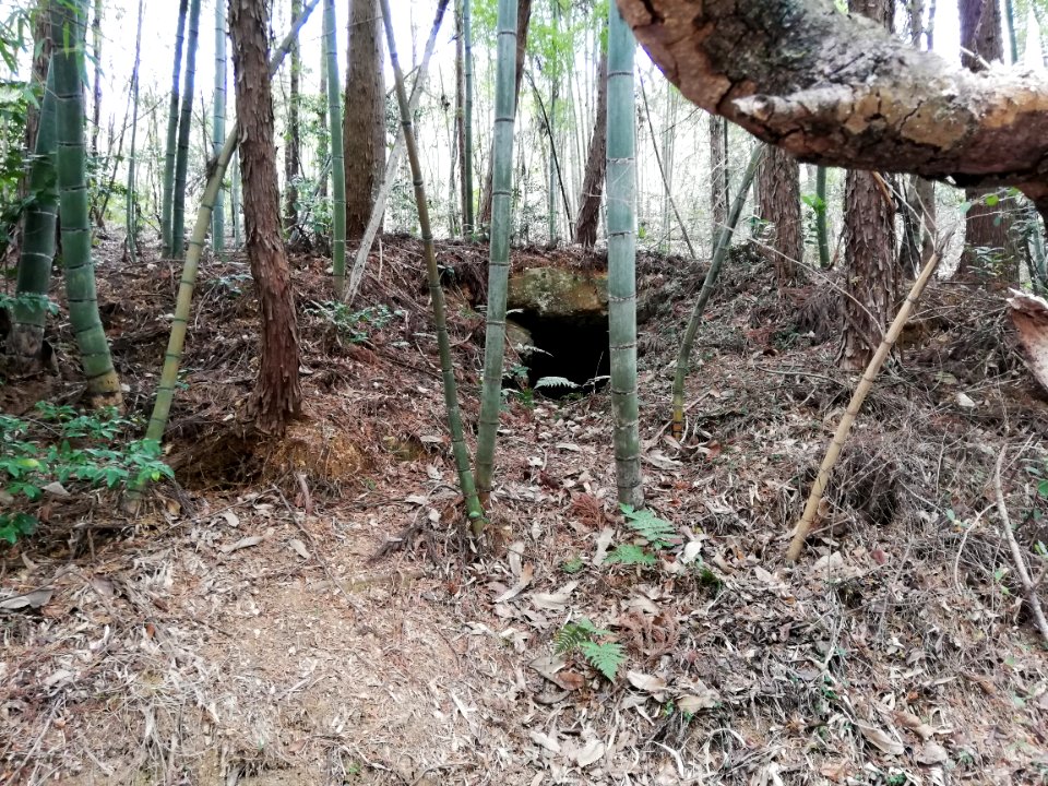 Gorin Kofun 20210228 02