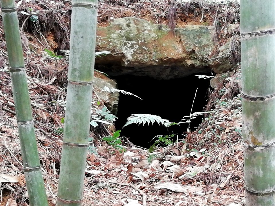 Gorin Kofun 20210228 03