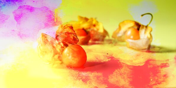 Watercolour fruit decoration
