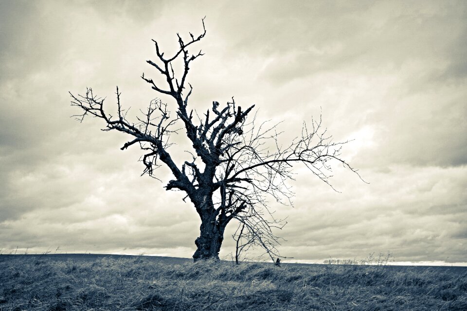 Loneliness gloomily romantic