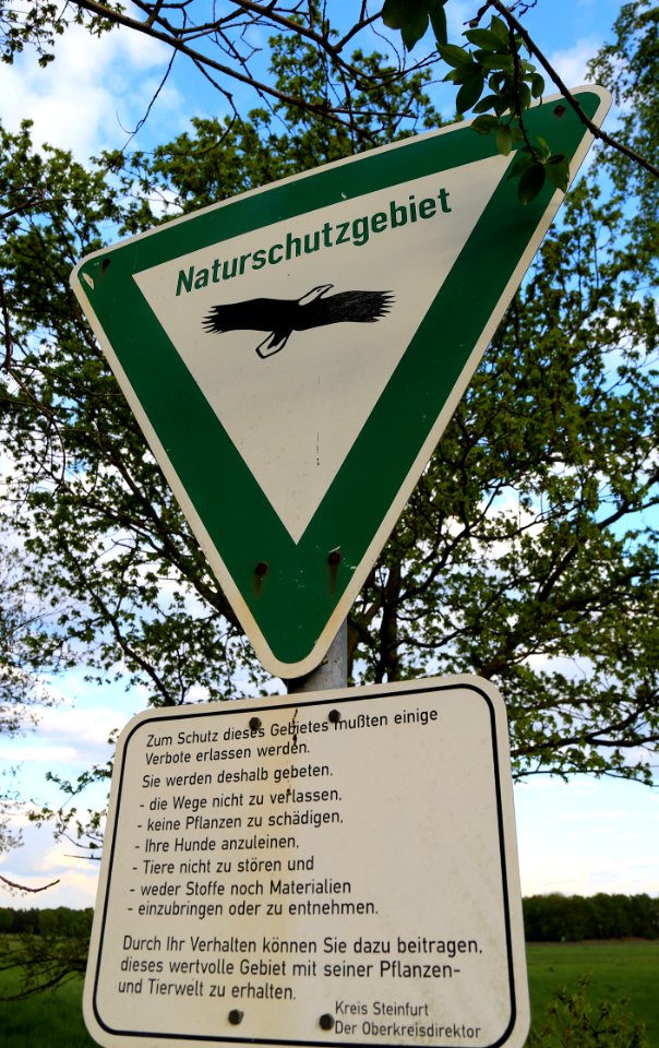 NSG Duesterdieker Niederung 07