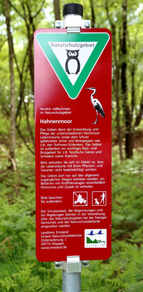 NSG Hahnenmoor 01